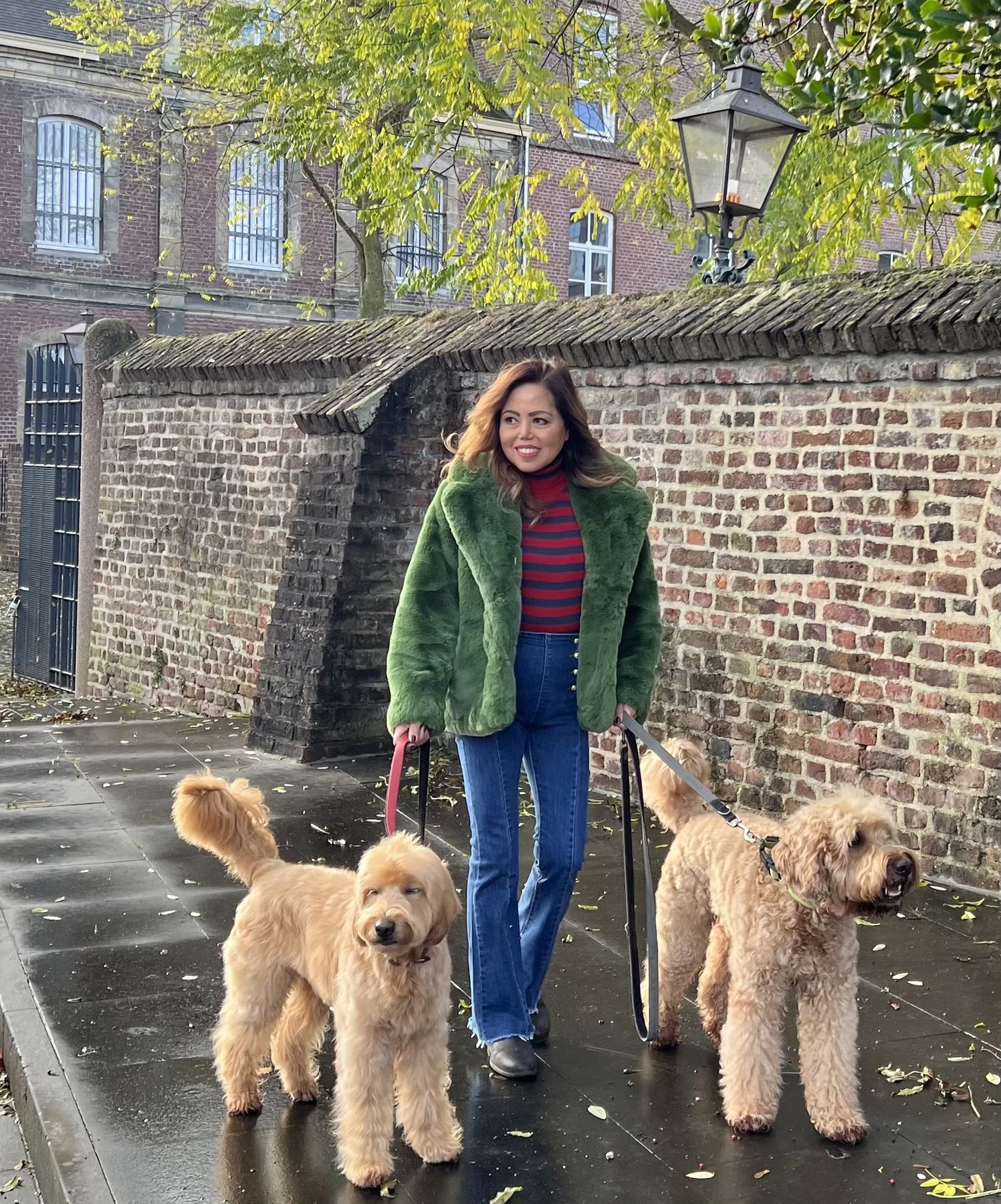 Jill walking two goldendoodles